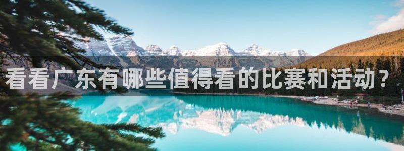 袋鼠直播体育直播