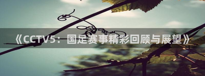 袋鼠直播nba在线观看：《CCTV5：国足赛事精彩回顾与展望》