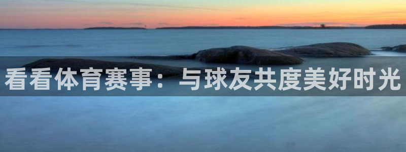 袋鼠直播篮球：看看体育赛事：与球友共度美好时光