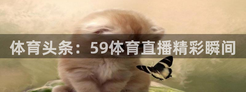 袋鼠直播体育在线直播：体育头条：59体育直播精彩瞬间