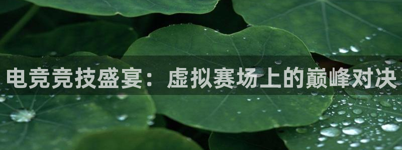 袋鼠直播在线播放：电竞竞技盛宴：虚拟赛场上的巅峰对决